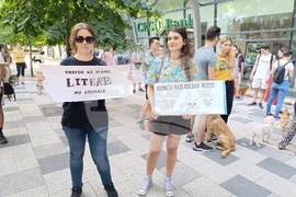 Румъния - Марш за правата на животните