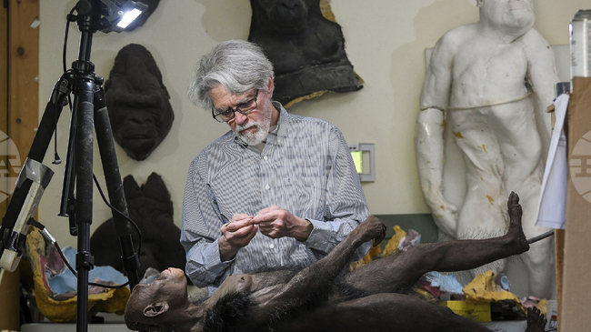 Загадъчна вкаменелост, открита в Етиопия, поставя в центъра на вниманието съвременник на австралопитека Луси 