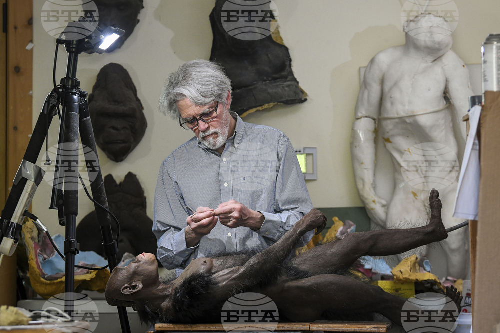 Загадъчна вкаменелост, открита в Етиопия, поставя в центъра на вниманието съвременник на австралопитека Луси 