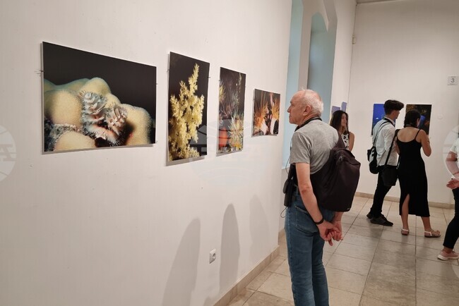 Варна - Любомир Клисуров - изложба подводна фотография
