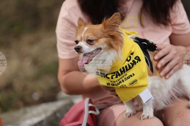  Проект - „На ти с кучето 3: Не си сам в парка”