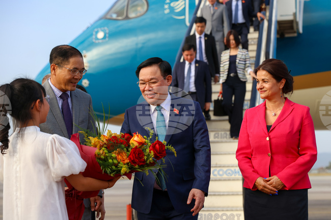  Въонг Дин Хуе - визита