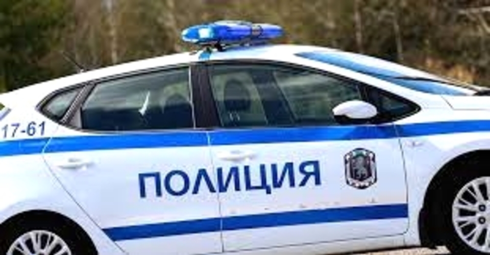 Полицията в Пазарджик задържа група, извършила кражба на селскостопански животни