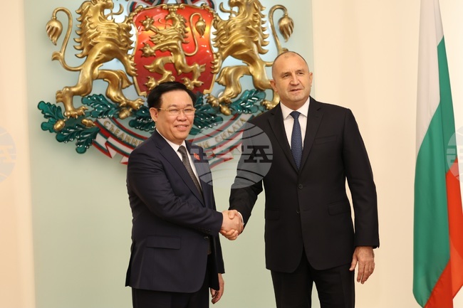 Румен Радев - Въонг Дин Хюе - среща