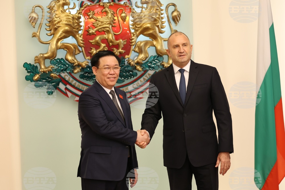 Румен Радев - Въонг Дин Хюе - среща