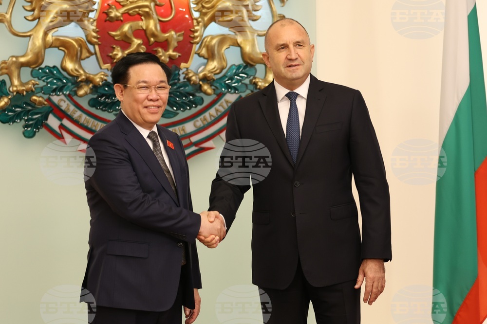 Румен Радев - Въонг Дин Хюе - среща