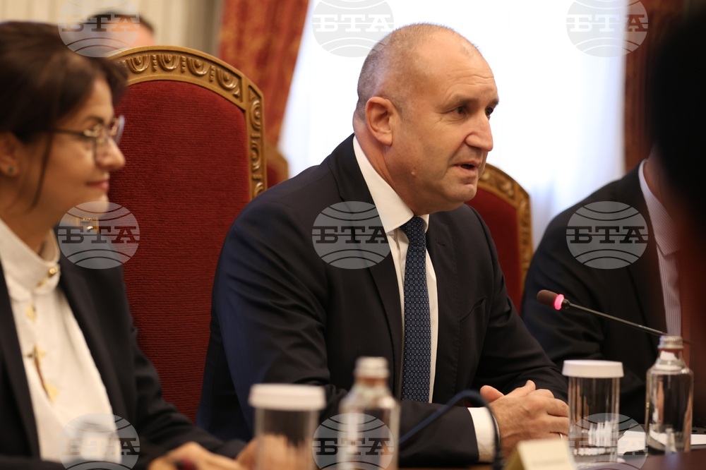 Румен Радев - Въонг Дин Хюе - среща