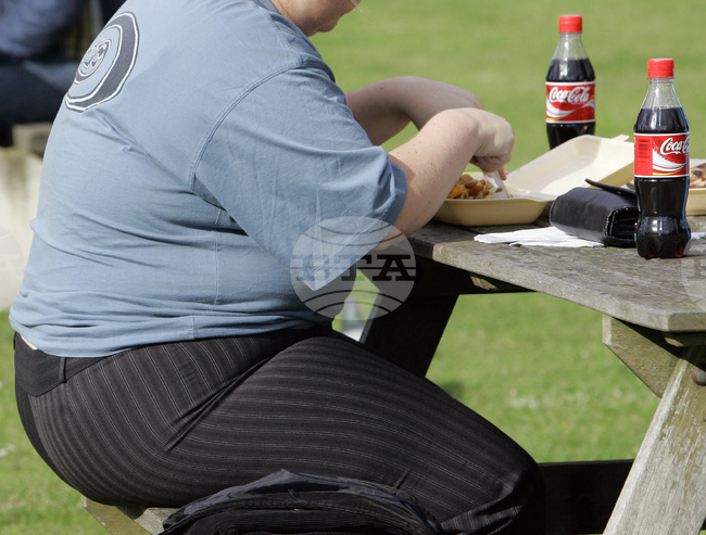 СЗО: 25% от децата в начална училищна възраст в Европа страдат от наднормено тегло 