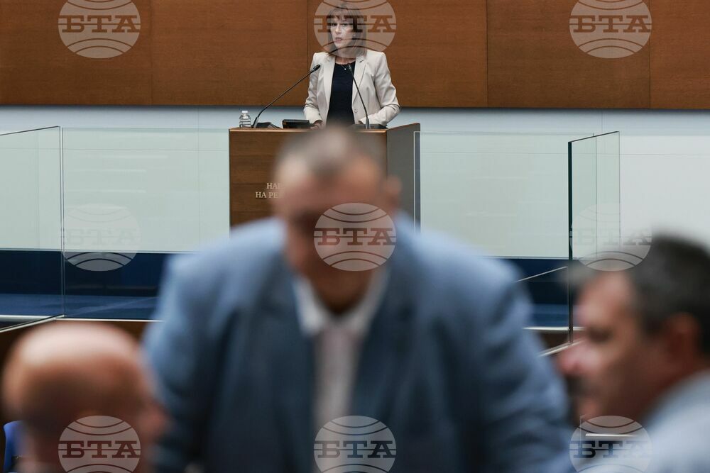 Народно събрание - извънредно заседание - Камелия Нейкова