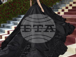 2022 MET Museum Costume Institute Benefit Gala