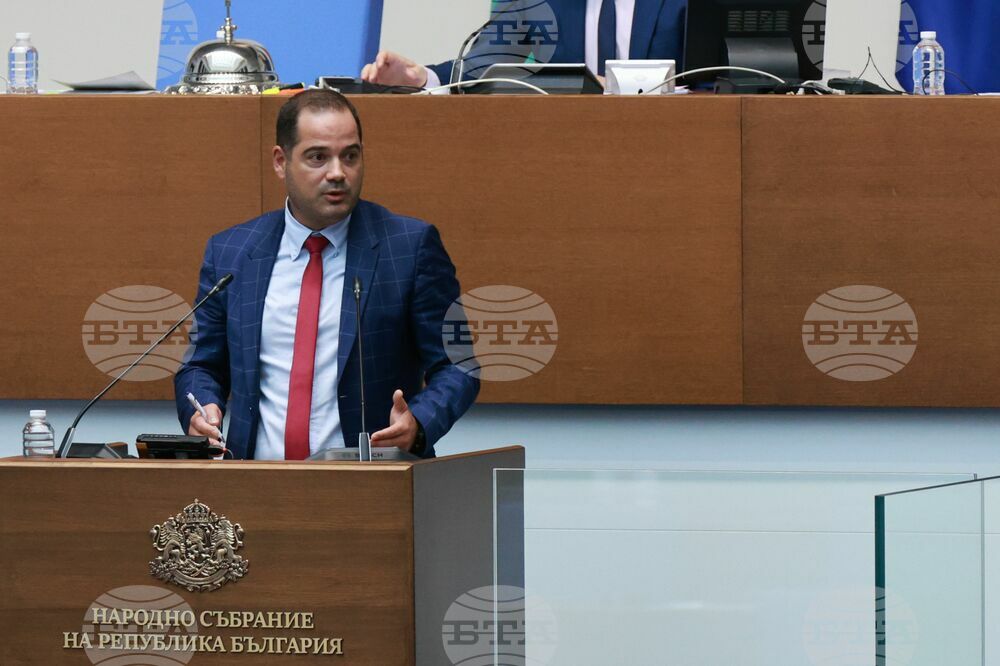 Парламент - парламентарен контрол - Калин Стоянов