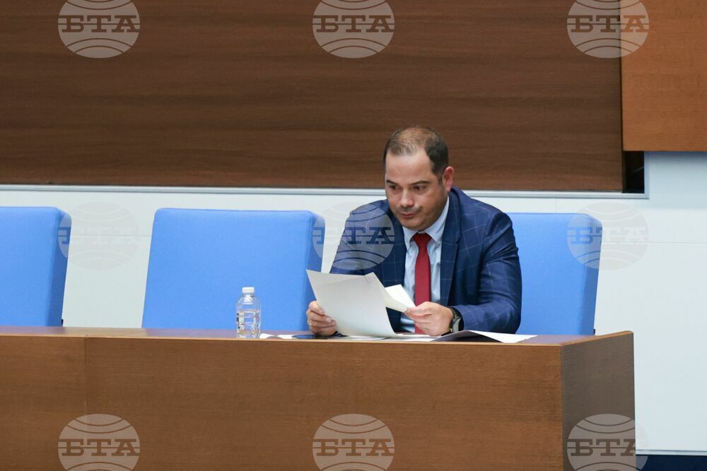 Парламент - парламентарен контрол - Калин Стоянов