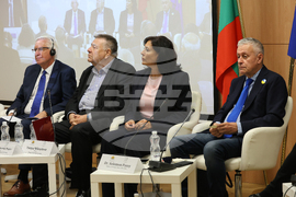 Дом на Европа - международна конференция