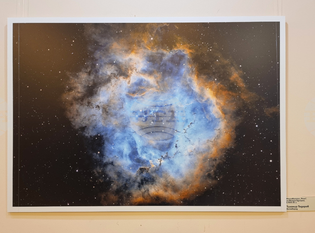 Bulgarian Academy of Sciences to Host Science and Technology Fair on Saturday