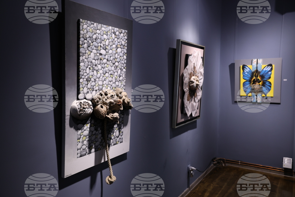 Михалис Гарудис - изложба