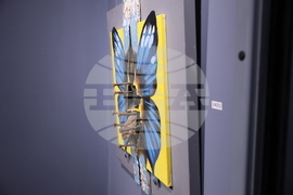 Михалис Гарудис - изложба