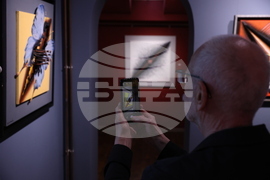 Михалис Гарудис - изложба