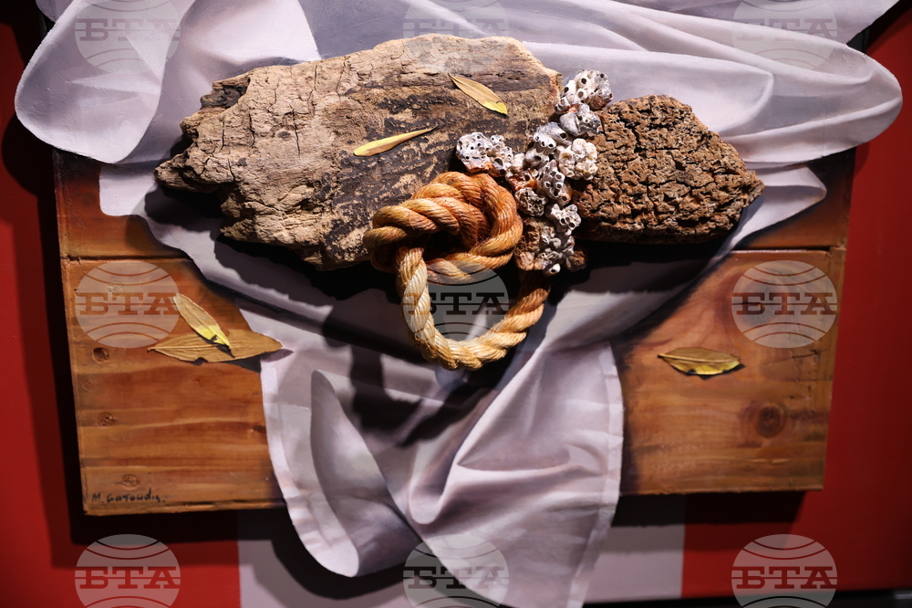 Михалис Гарудис - изложба