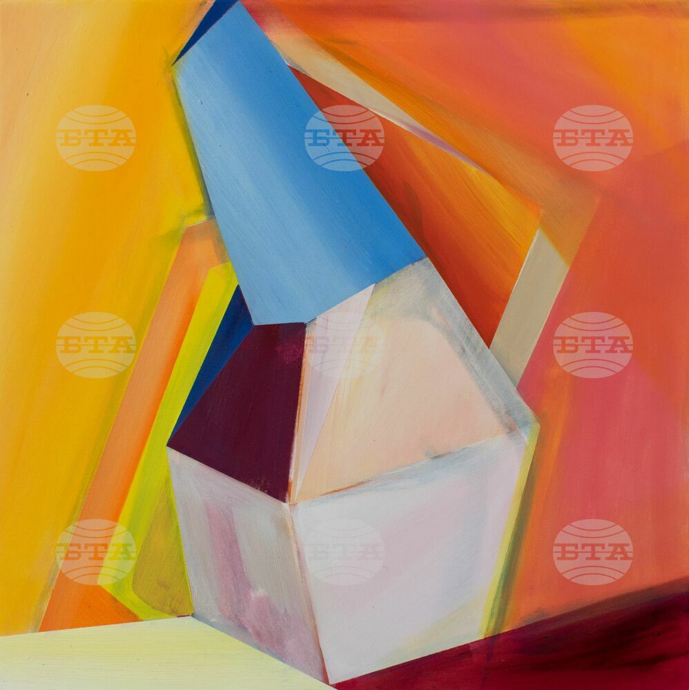 Ана Костова подрежда картини и колажи в изложбата „In color spaces“