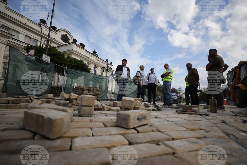 Булевард „Цар Освободител“ - павета - проверка