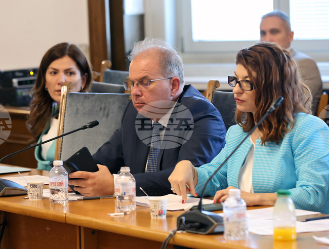 Парламент - Комисия по правни въпроси - заседание