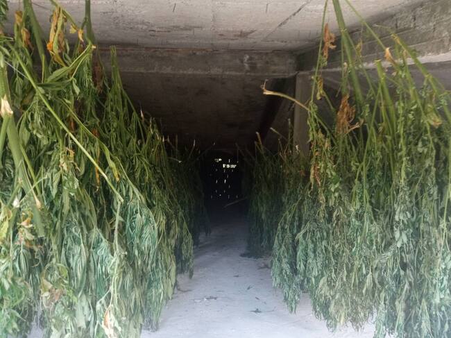 Апелативна прокуратура – Пловдив: Окръжна прокуратура – Стара Загора привлече като обвиняеми и задържа петима мъже за участие в организирана престъпна група за отглеждане и добиване на марихуана 