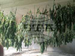 Снимка: Апелативна прокуратура – Пловдив