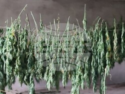 Снимка: МВР