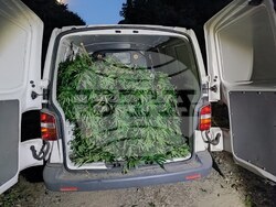 Снимка: МВР