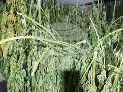 Снимка: МВР