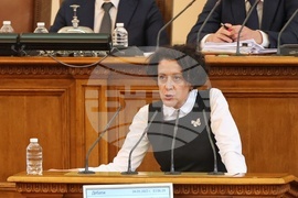 Парламент - заседание