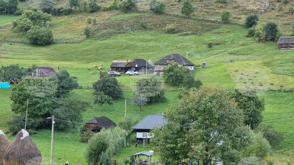 Румъния - Чарли Отли