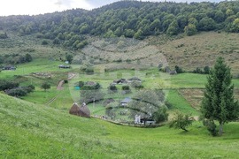 Румъния - Чарли Отли