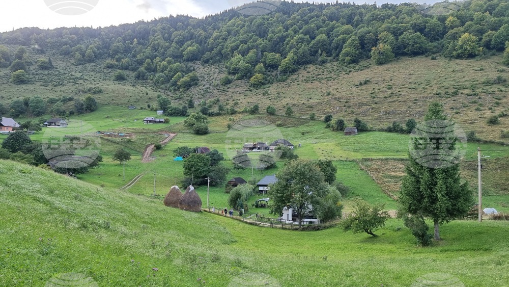 Румъния - Чарли Отли