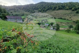 Румъния - Чарли Отли