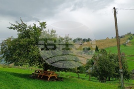 Румъния - Чарли Отли