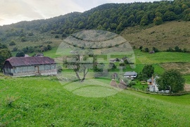 Румъния - Чарли Отли