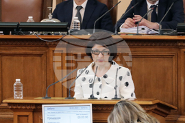 Парламент - Десислава Атанасова - извънредно заседание