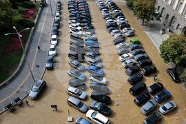 Паркинг - автомобили