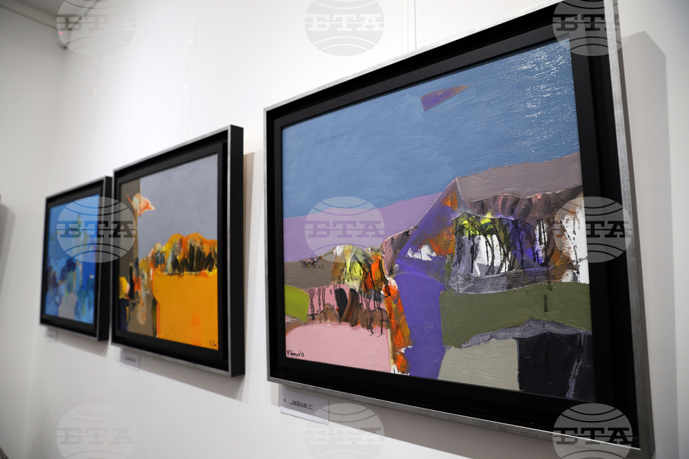 Изложба - Васил Стоев