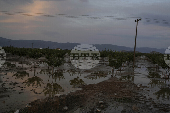 Гръцките острови Родос и Лемнос обявиха извънредно положение