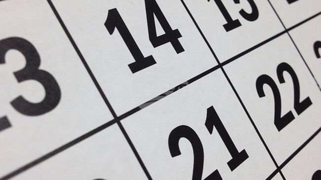 Government Declares December 31, 2025, and January 2, 2026 as Non-Working Days