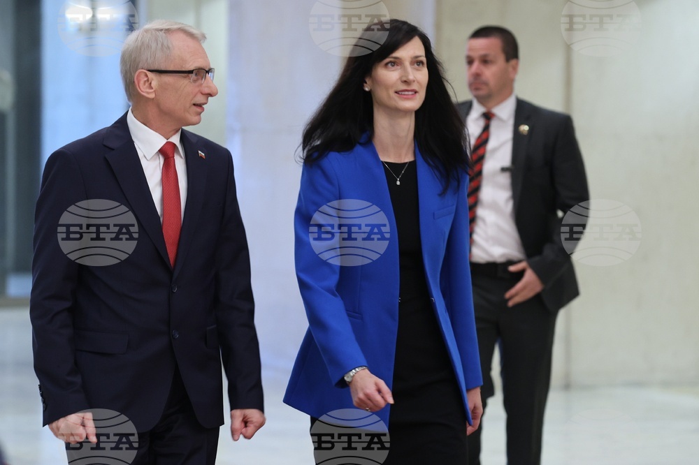 Годишна конференция на министъра на външните работи