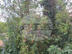 Снимка: Община Сливен