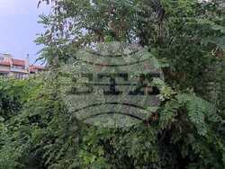 Снимка: Община Сливен