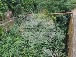 Снимка: Община Сливен