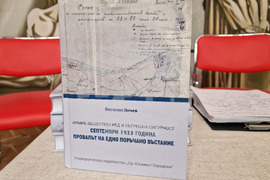 Видин - монография - представяне