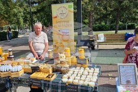 Търговище - базар на изкуствата - благотворителност