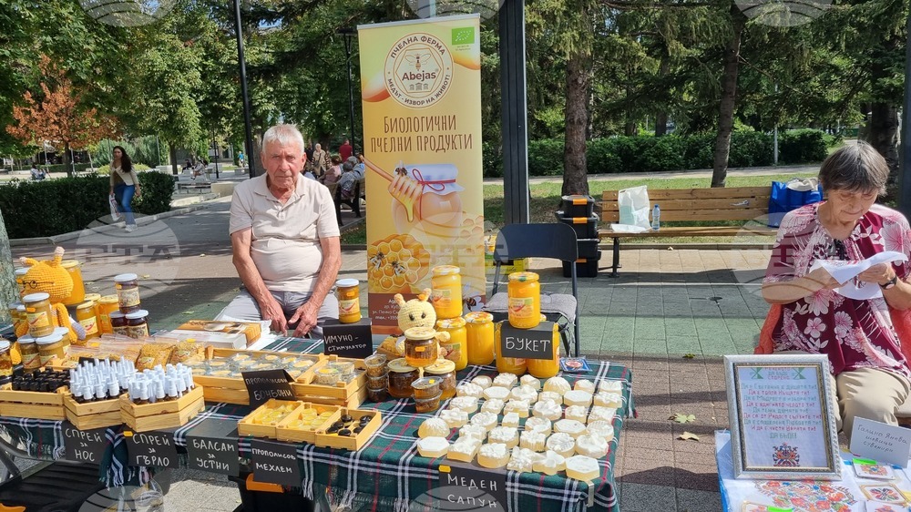 Търговище - базар на изкуствата - благотворителност