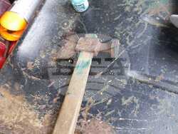 Снимка: Изпълнителна агенция по горите 